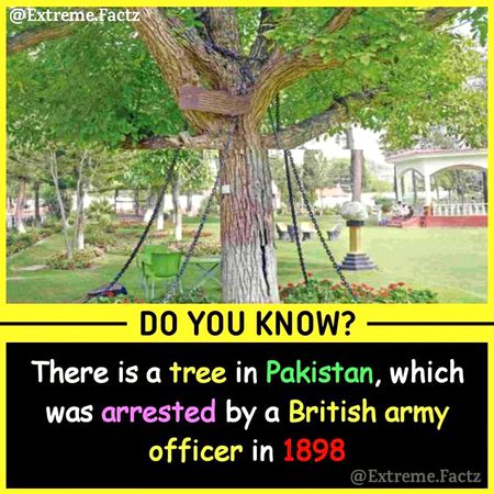 Did you Know