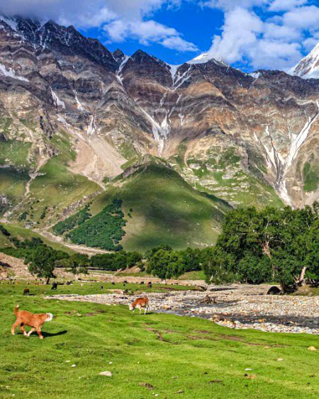 Beautiful Nature image