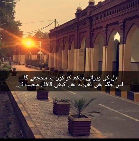 🍁Zoq_Shab🍁