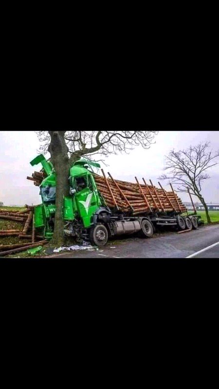 *سینکڑوں کٹے ہوئے درخت ایک جڑ والے درخت کے سامنے*
*کچھ بھی نہیں۔۔۔ !!!*
*اپنے گھرانے اوراپنی بنیادوں سے جڑے رہیں اسی میں بقا ہے۔* ❣️