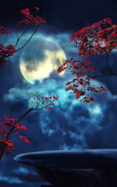 Beautiful Nature image