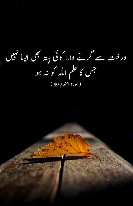 Beshak....subhanallah