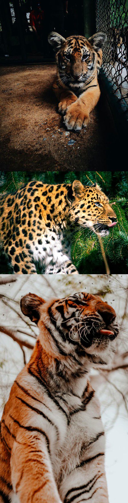 Beautiful Nature image