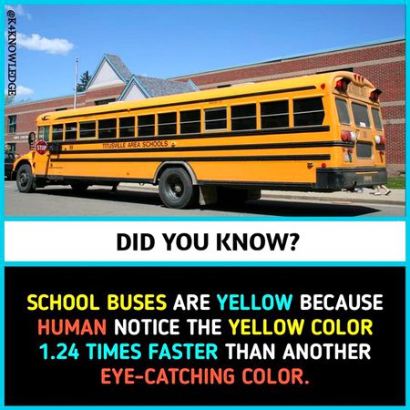 Did you Know