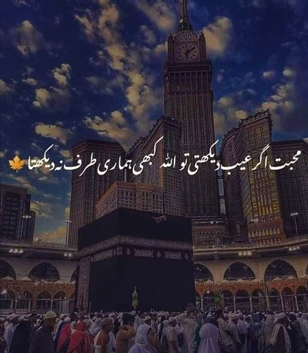 Islamic Quotes image