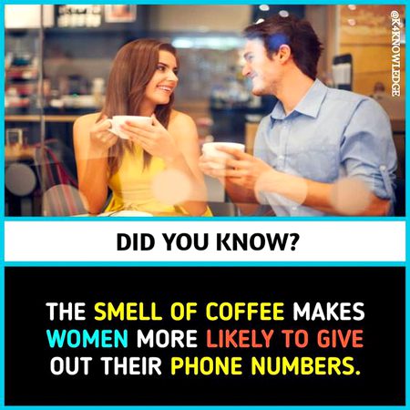 Did you Know