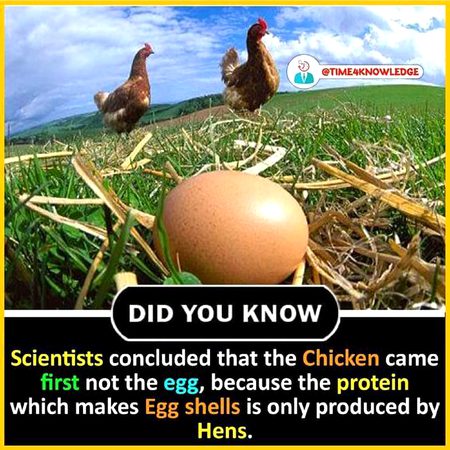 Did you Know