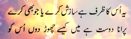 Wassi shah
