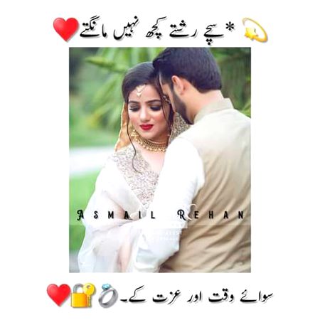 •|•^°°°°°^°°•||•