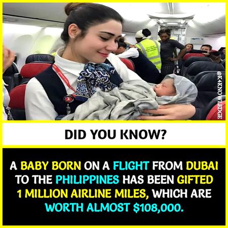 Did you Know