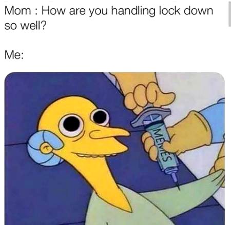 Memes & Satire image