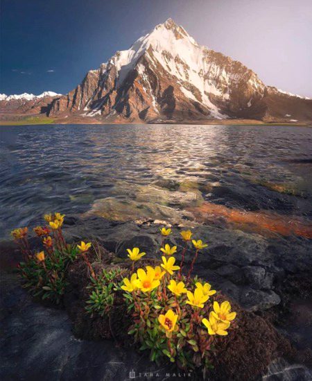 Beautiful Nature image