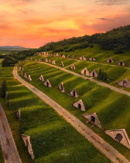 RABBITS VILLAGE 🤩🤩🤩