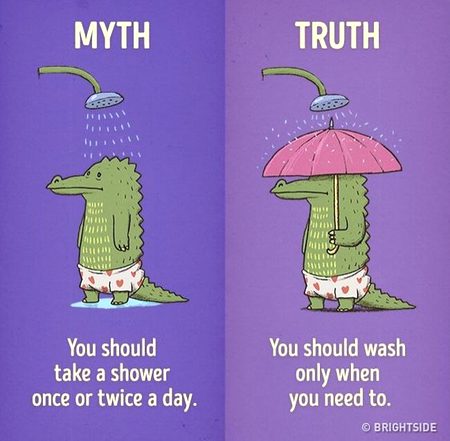 Did you Know