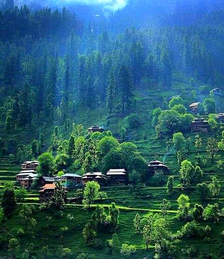 Beautiful Nature image