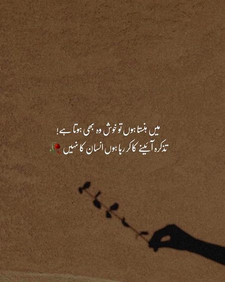 میں ہنستا ہوں تو خوش وہ بھی ہوتا ہے
تذکرہ آئینے کا کر رہا ہوں انسان کا نہیں!