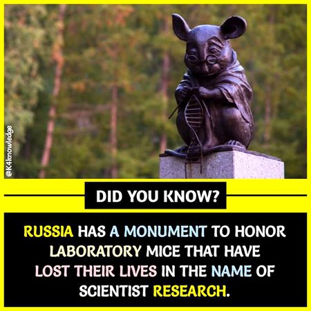 Did you Know