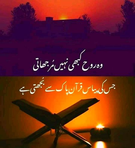 Beshak💯😍❤