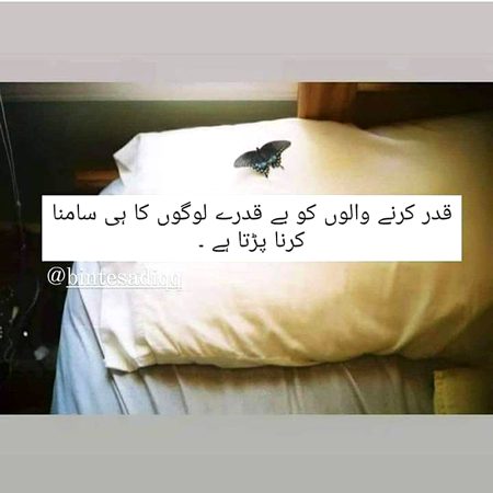 🔥Syed Zada💔