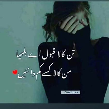 •||•^°°°^°^•||•