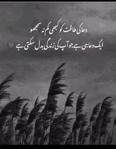 So True 💯😊⁦☺️⁩🤗⁦❤️⁩🥰