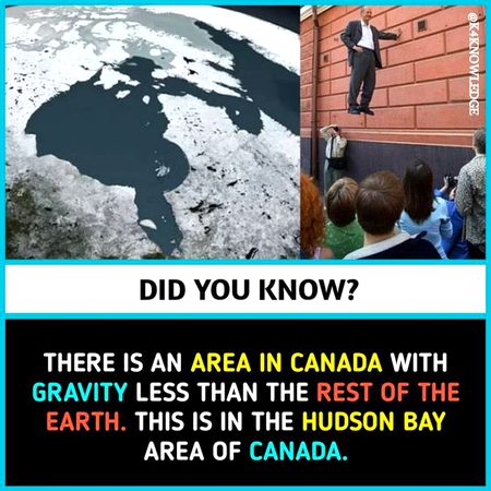 Did You Know