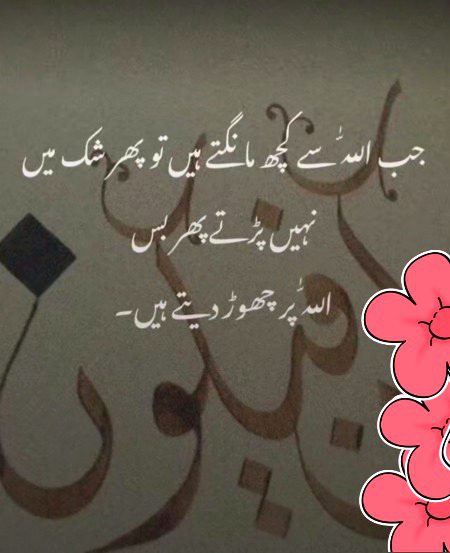 Bilkul 💯💯💯😇