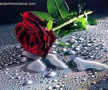 ﺍﭘﻨﮯ ﺁﭘــــ ﻣﯿﮟ ﻣﺴﺘــــ ﮨﻮﮞ💜👑
ﺟﻨﺎﺑــــ ﻣﯿﮟ ﺧﻮﺩ ﭘﺮﺳﺘــــ ﮨﻮﮞ🔥