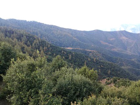 How is my village hills?