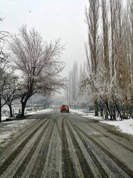 Beautiful Nature image