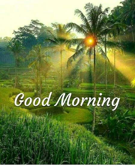 Have a nice day 💞
