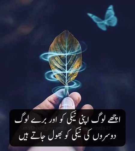 💕💕💕💖💖💖💕💕💕💕