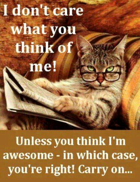 Attitude Quotes image