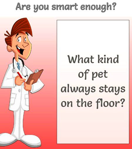 Riddles & Puzzles image