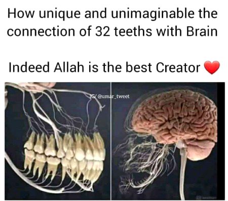 My Lord❤