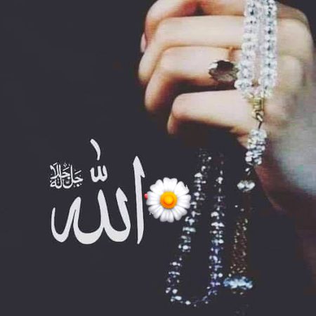 SubHanAllah 
    .... ksy ho Sub Frind  🌷⚘⚘
 come back few Days Agoo