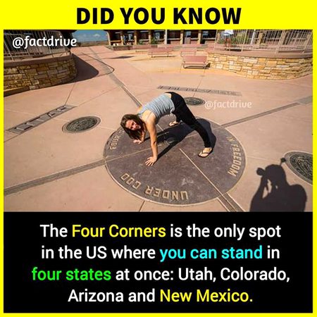 Did you Know