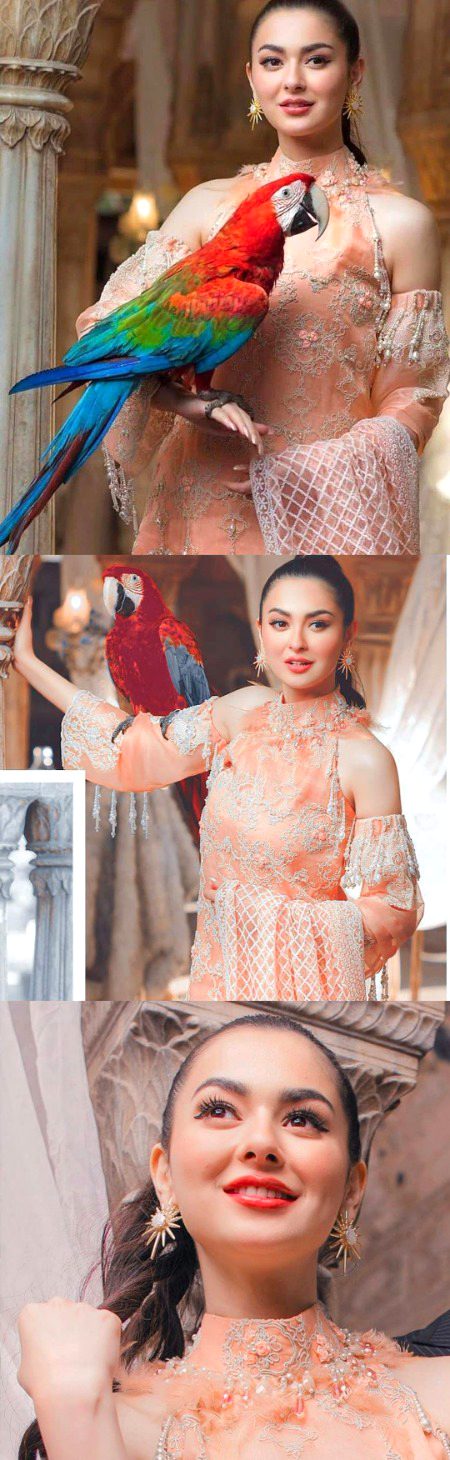 Pakistani Celebs image