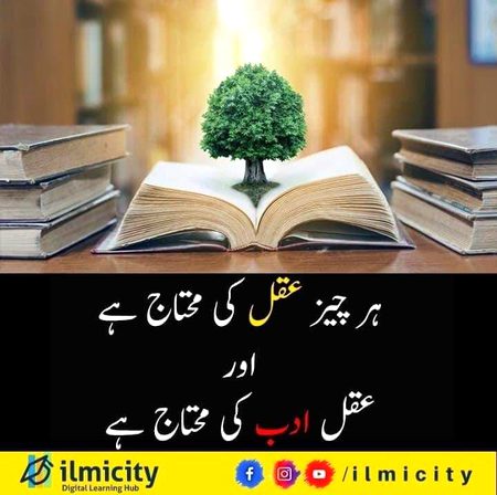 ادب پہلا قرینہ ہے محبت کے قرینوں 
 میں❤️❤️❤️Beshak