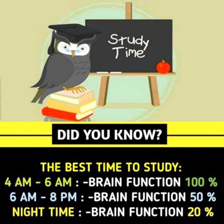 Did you Know