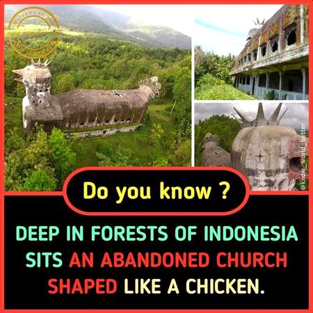 Did You Know