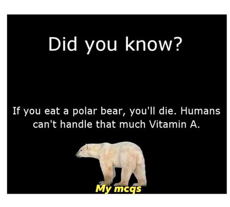 Did you know?