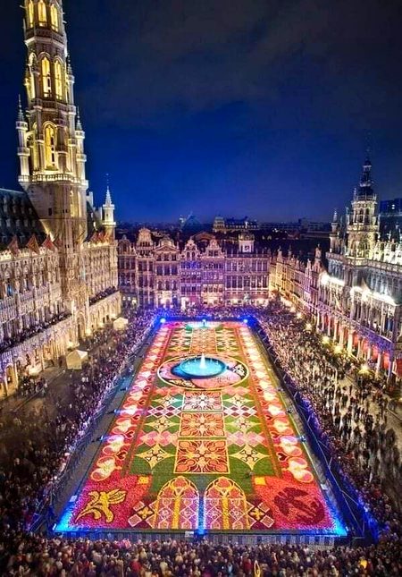 A carpet of flowers in Belgium..china
