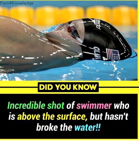 Did you Know