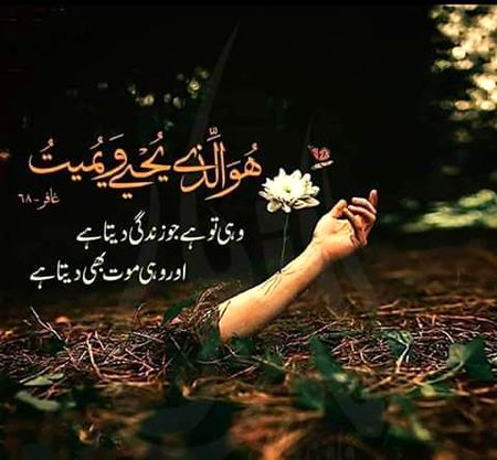 Islamic Quotes image