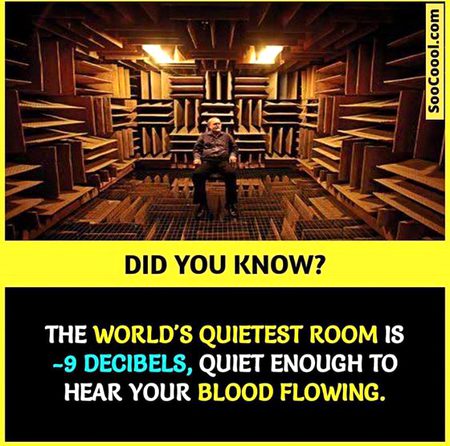 Did you Know