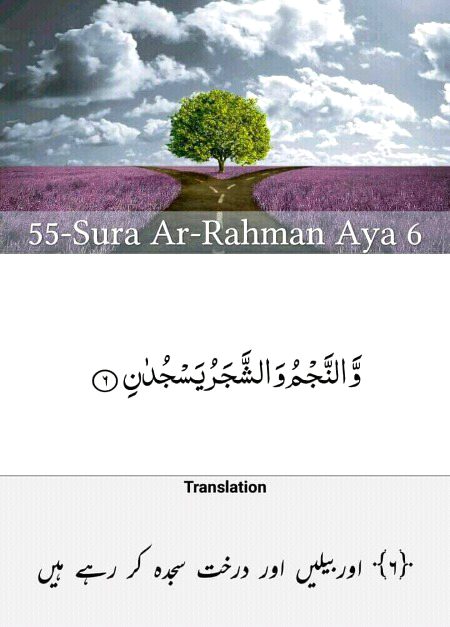 Ayat 6.....😘😍😘😍😘😍😘😍😘😍😘😍😘😍😘😍😘