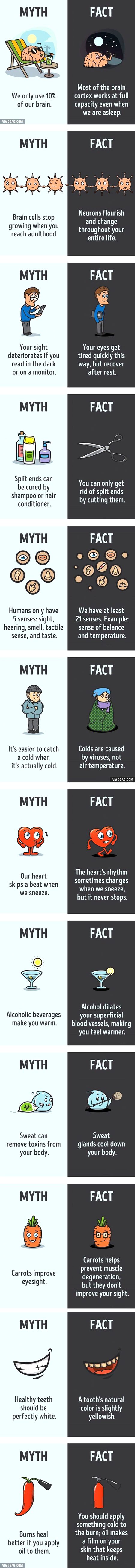 MYth and reality...Huge compilation