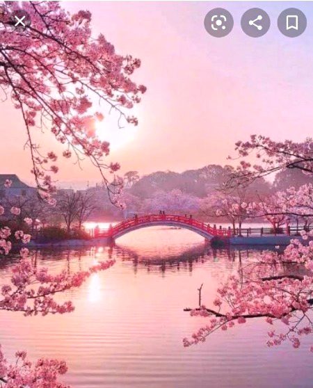 Beautiful Nature image