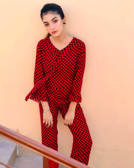 Pakistani Celebs image